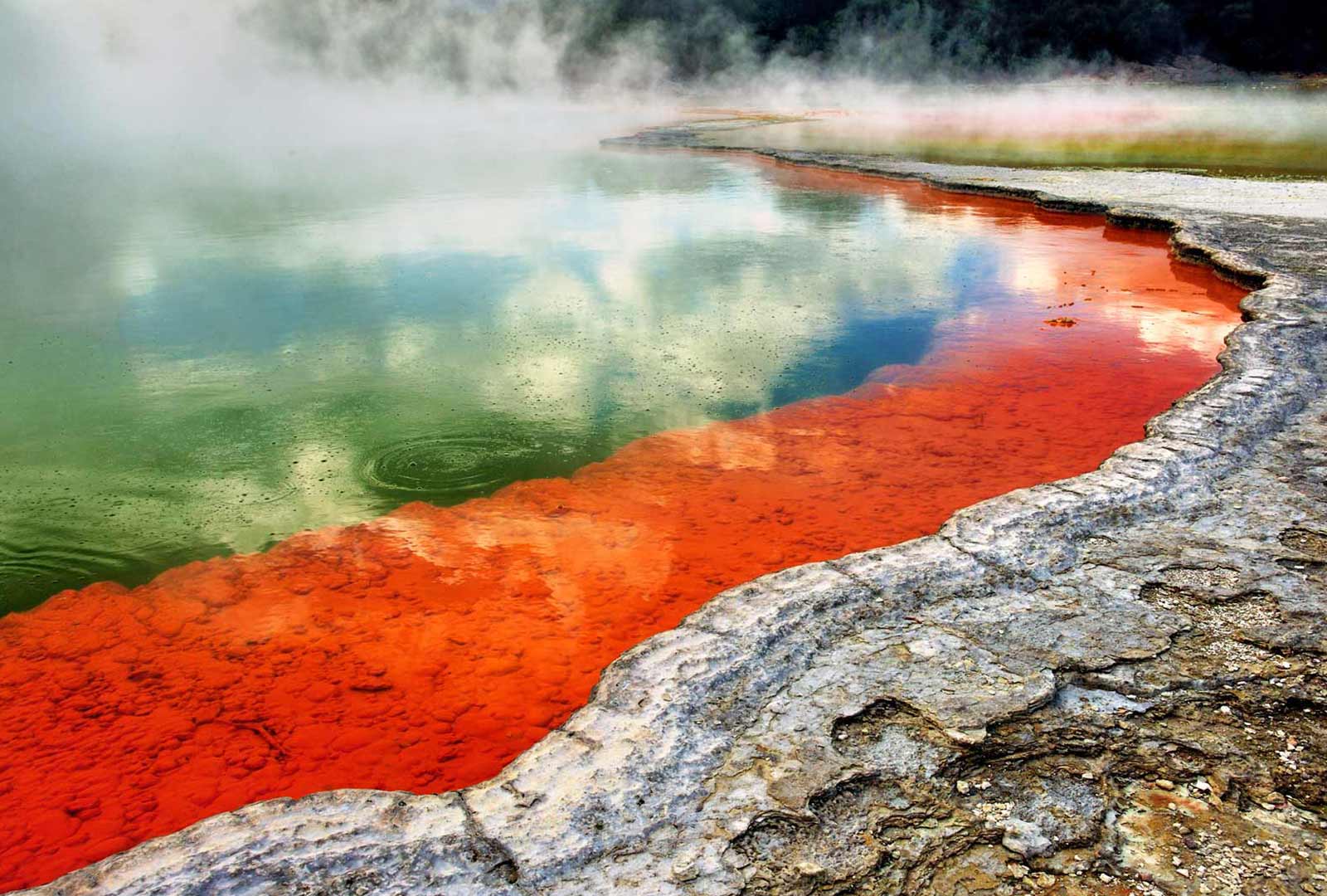 Waiotapu Thermal Reserve Rotorua | Photo by Bob McCree