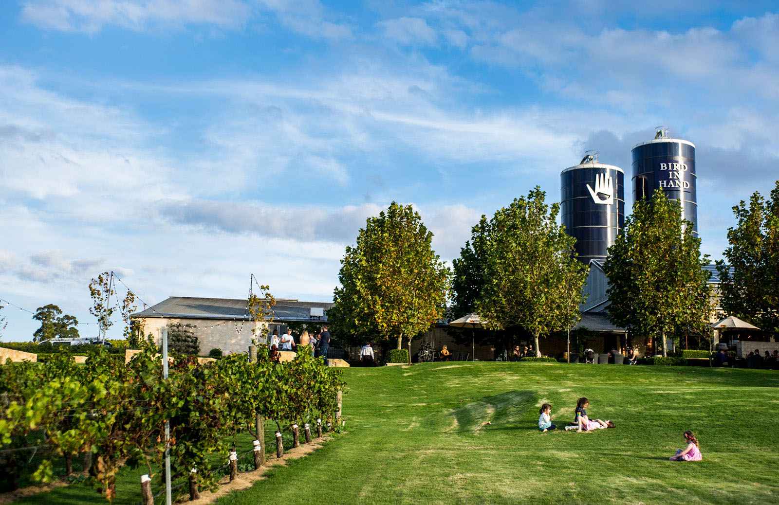 Bird in Hand Winery