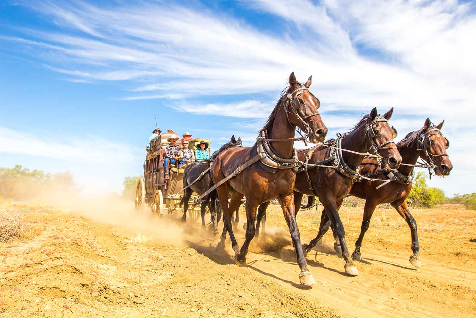 Ride the Cobb & Co in Longreach | Road trip explores Queensland's Outback