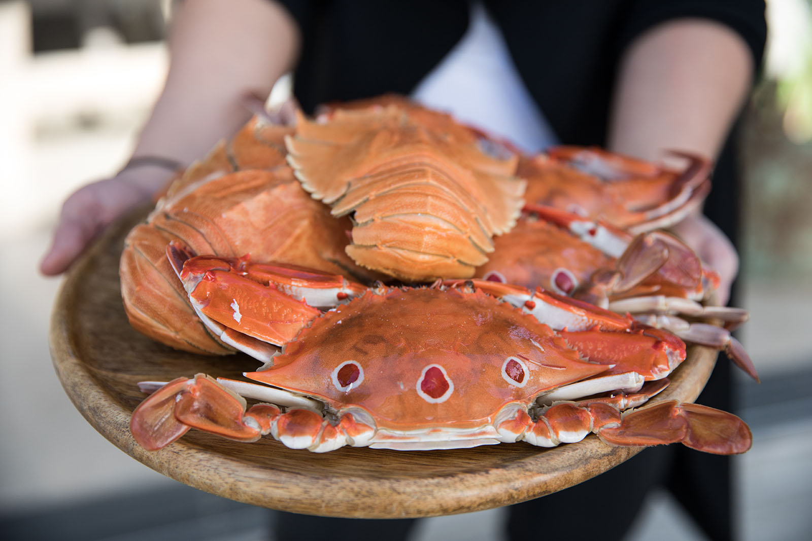 Moreton Bay Bugs