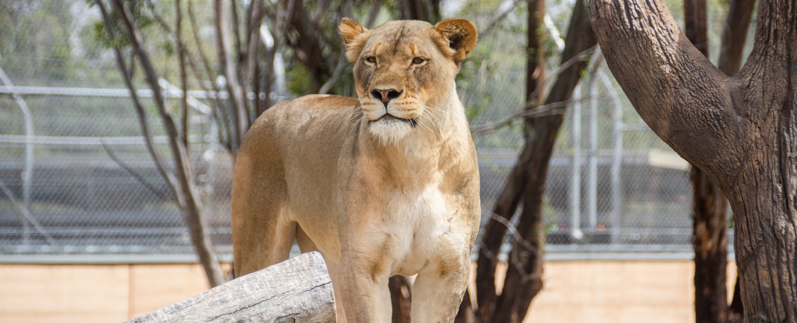 Taronga Western Plains Zoo 