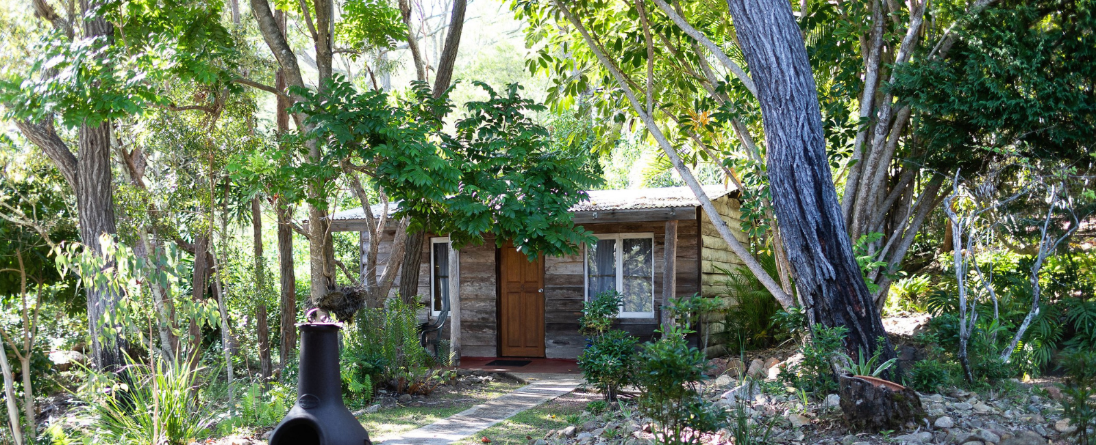 Cabin in between trees at Hidden Valley Cabins