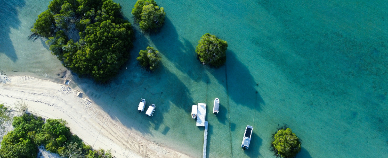 Boats along the shore of Orpheus Island