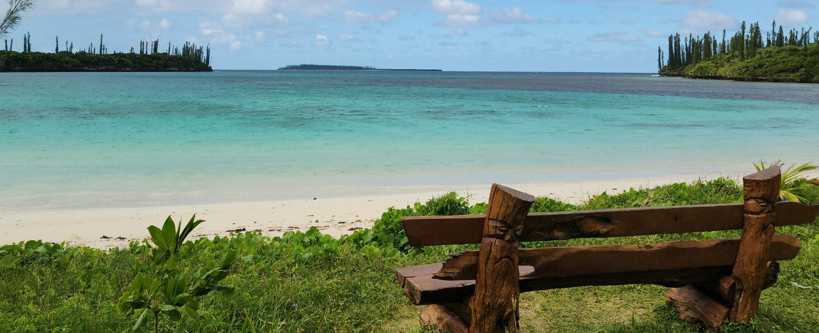 Bench overlooking the water in New Caledonia