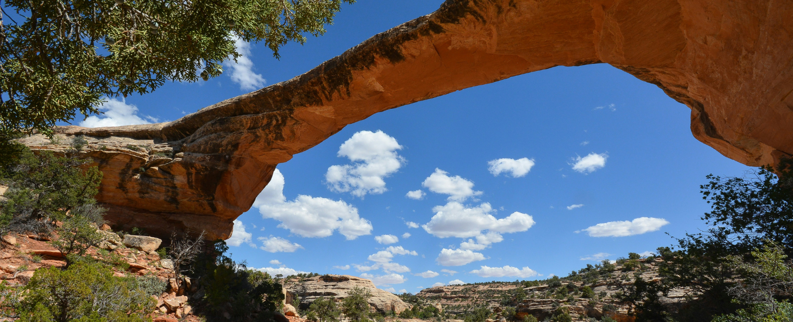 Natural Bridges National Monument, United States