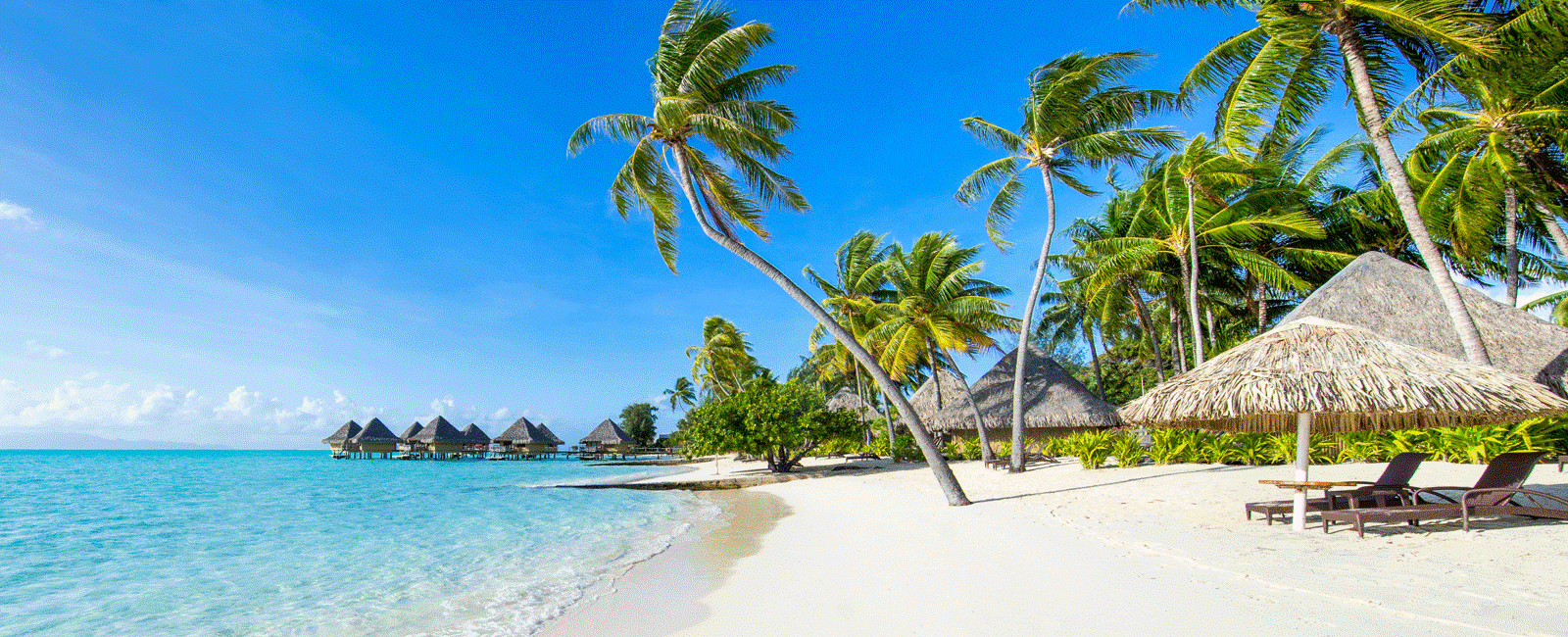 A calm beach with white sand and blue water